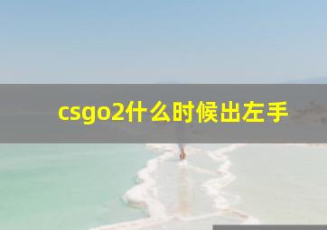 csgo2什么时候出左手