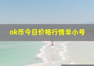 ok币今日价格行情非小号