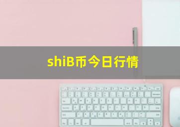 shiB币今日行情