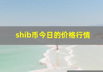 shib币今日的价格行情