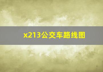 x213公交车路线图