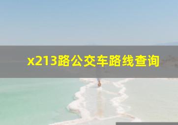 x213路公交车路线查询