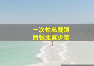 一次性总裁别嚣张北冥少玺