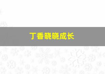 丁香晓晓成长