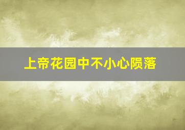 上帝花园中不小心陨落