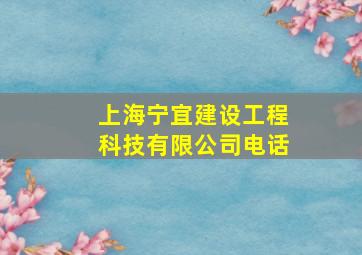 上海宁宜建设工程科技有限公司电话