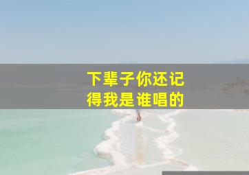 下辈子你还记得我是谁唱的