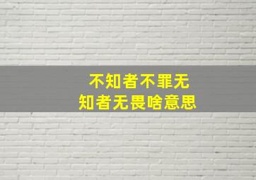 不知者不罪无知者无畏啥意思