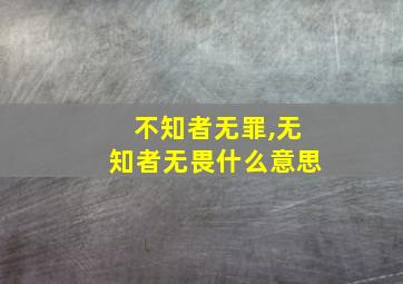 不知者无罪,无知者无畏什么意思