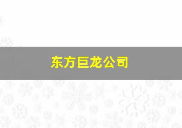 东方巨龙公司