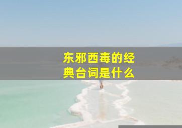 东邪西毒的经典台词是什么