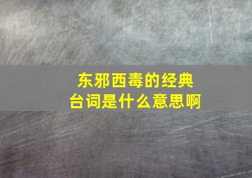 东邪西毒的经典台词是什么意思啊