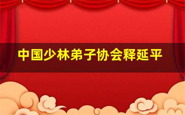 中国少林弟子协会释延平