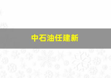 中石油任建新