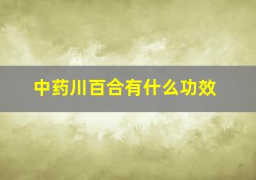 中药川百合有什么功效