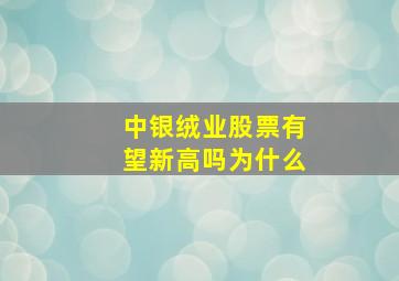 中银绒业股票有望新高吗为什么