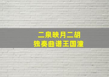 二泉映月二胡独奏曲谱王国潼