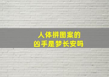 人体拼图案的凶手是梦长安吗