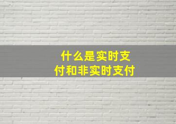 什么是实时支付和非实时支付