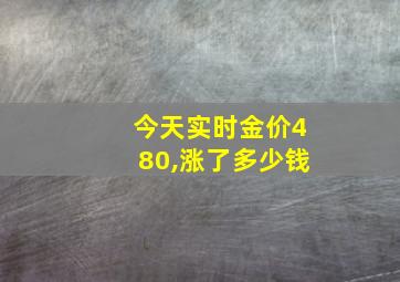 今天实时金价480,涨了多少钱