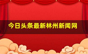 今日头条最新林州新闻网