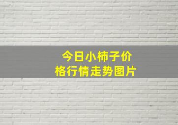 今日小柿子价格行情走势图片