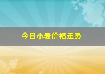 今日小麦价格走势