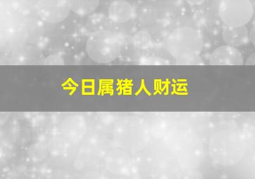 今日属猪人财运