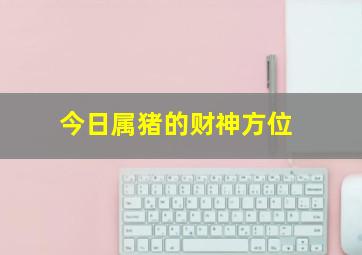 今日属猪的财神方位