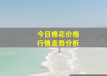 今日棉花价格行情走势分析