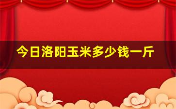 今日洛阳玉米多少钱一斤