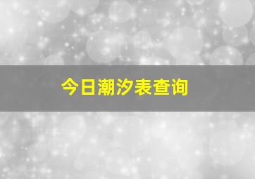 今日潮汐表查询