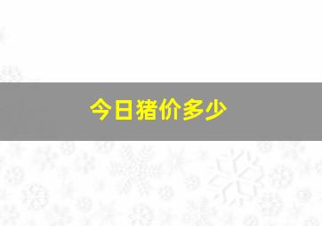 今日猪价多少