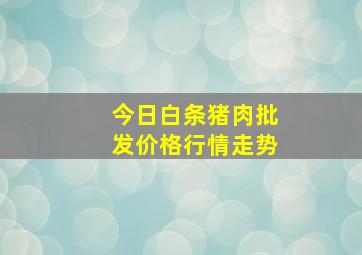 今日白条猪肉批发价格行情走势