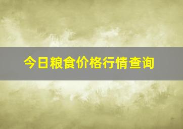 今日粮食价格行情查询