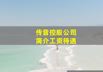 传音控股公司简介工资待遇