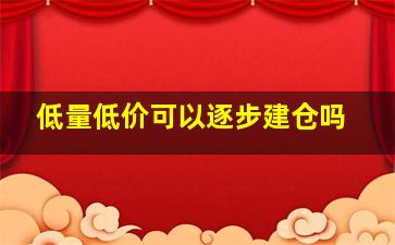 低量低价可以逐步建仓吗