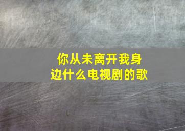 你从未离开我身边什么电视剧的歌