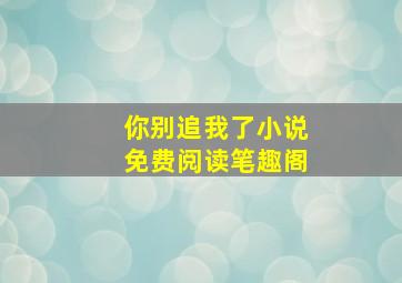 你别追我了小说免费阅读笔趣阁