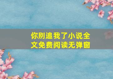 你别追我了小说全文免费阅读无弹窗