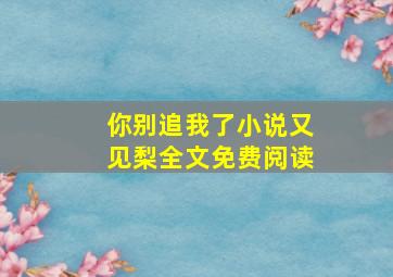 你别追我了小说又见梨全文免费阅读