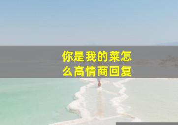 你是我的菜怎么高情商回复