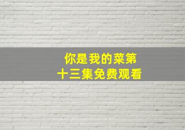 你是我的菜第十三集免费观看