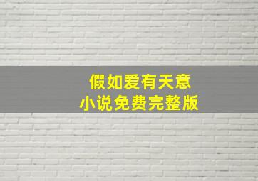 假如爱有天意小说免费完整版