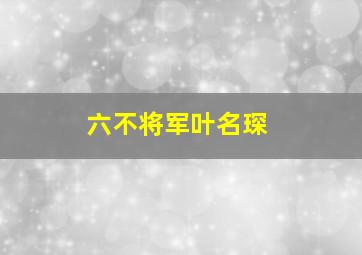 六不将军叶名琛