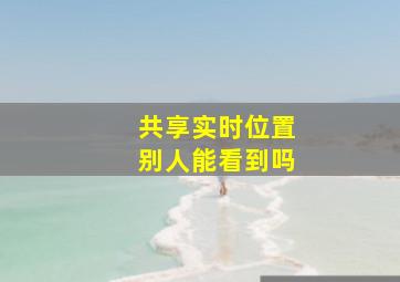 共享实时位置别人能看到吗