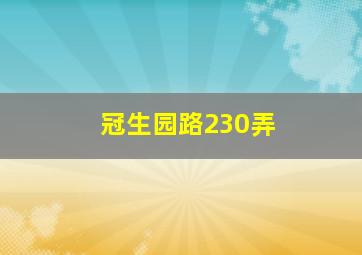 冠生园路230弄