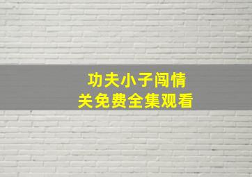 功夫小子闯情关免费全集观看