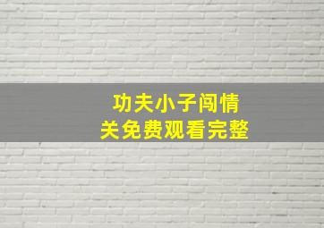 功夫小子闯情关免费观看完整