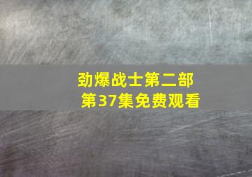 劲爆战士第二部第37集免费观看